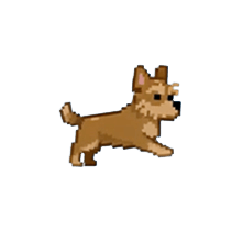 Pet celebrating