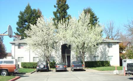 1292 W. Sacramento Ave apartment