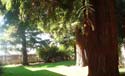 Apartment thumbnail