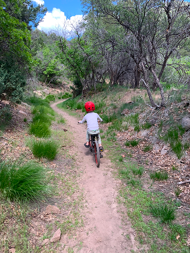 Mountain biking in Pine Valley, UT